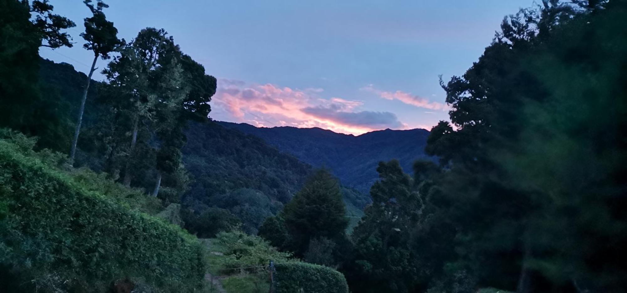 Glamping Jaulares Mountain Otel Rivas Oda fotoğraf
